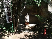 �x�s�d�������݂���̂قĂ��l�i��q��)�̓��e�ʐ^1