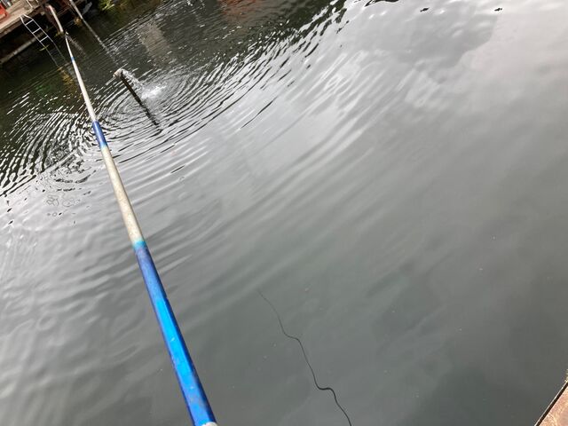 �x�m����ڂ�_�x�m����ڂ�