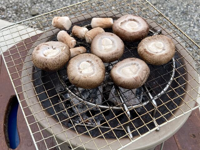 �߂���������������[�I_���c���񂿂̒ő�