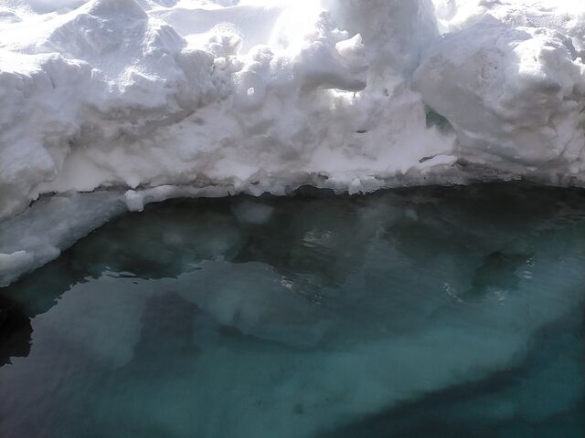 �C�ʉ��̗��X�̐F_�L����Вm���l�C�`���[�N���[�Y