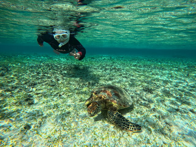 �O��̊C�K������ƗV�j�@�y���������ł��B_�_�C�r���O�V���b�v�@�l�o�[�����h