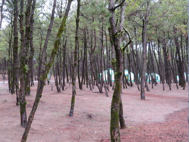 Lvɐݒuꂽh[nEX_ӂꂠ̐XLv