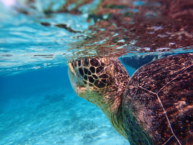 �E�~�K�������p������u�ԁI���������܂����I�I��_�{��blue�܂ق��