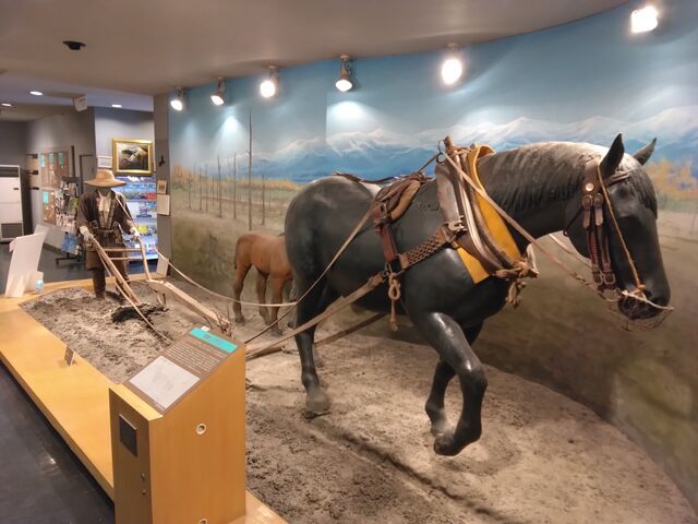 ���͂̂���W�����ł��B_�n�̎�����