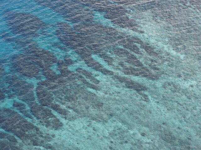 ��󂩂猩���T���S�ʇ@_�u���[�I�[�V�����N���u