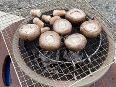 肳̎c񂿂̒őւ̓eʐ^1