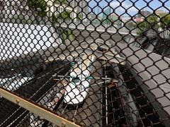 �A�}�K�G������̎O�{�E�����ւ̓��e�ʐ^1