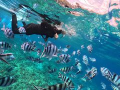 ܂Ⴓ̐̓AJiT_CrOւ̓eʐ^1