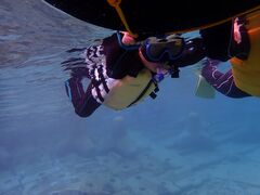 ̂̃}Vbv }[Chւ̓eʐ^1