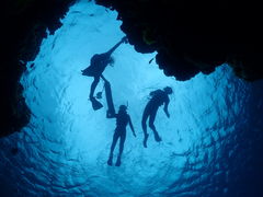 Yanodĩ_CrOVbvTI.OCEANւ̓eʐ^1