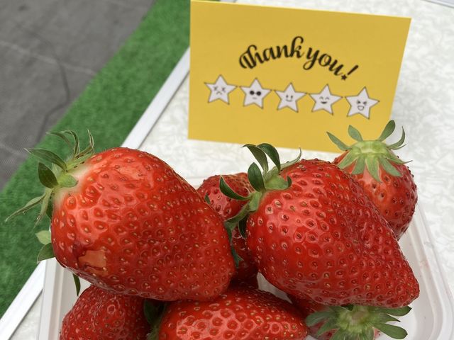 ���q����ւ̊��ӂ̋C����_���ڂ�������