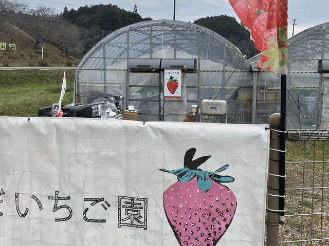 ������܂肪�x�X�g_���ڂ�������