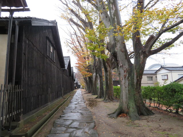 L̎Rqɂ̃PL؂̍gt̓eʐ^1