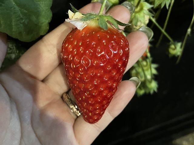 �Ȃ炠����_��̂��������p�[�N