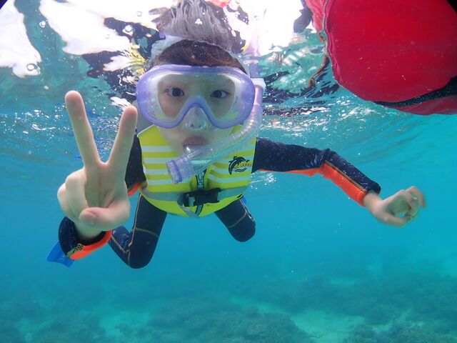 ���V���m�[�P�����O�ɑ��т̑��q_�}�����V���b�v����