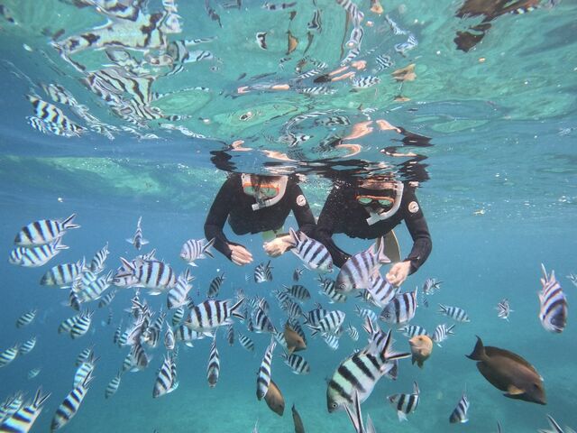 �����ȊC�ł̉a���I���������������Ă��܂���_�J�m�A�_�C�u Kanoa Dive