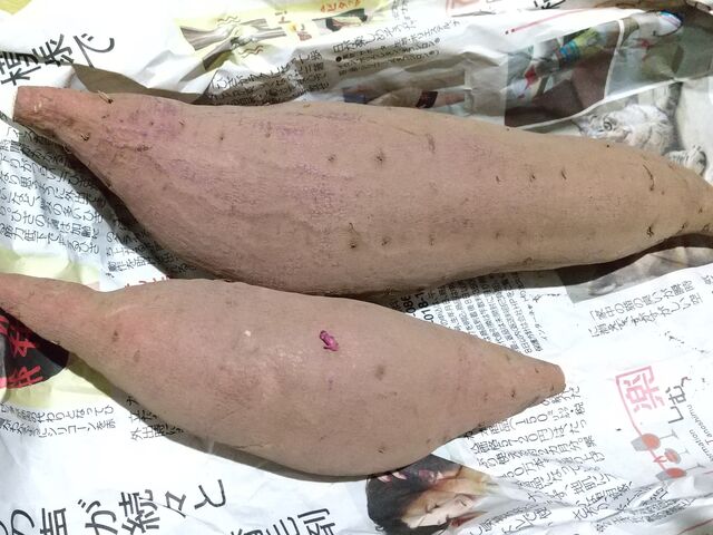 ���n�����5������B�኱�肪�o�����B_������