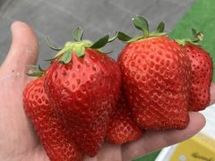 �̂Ԃ��񂳂�̂��ڂ��������ւ̓��e�ʐ^1