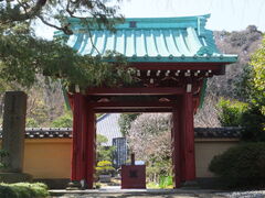 �j�R����񂳂�̌������ւ̓��e�ʐ^1