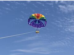 ӂ݂̋{ÓpZ[O all good marine 385ւ̓eʐ^1