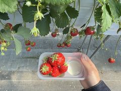 Ȃ̕όAOXl΂ւ̓eʐ^1