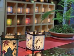 䂸ۂ񂳂̍LnH|ւ̓eʐ^1