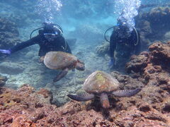 ���΂���̉��v�����R�ē��ւ̓��e�ʐ^1