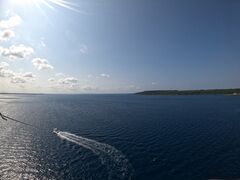 т肯񂳂̋{ÓpZ[O all good marine 385ւ̓eʐ^1