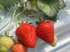 naöt@[i--jւ̓eʐ^1