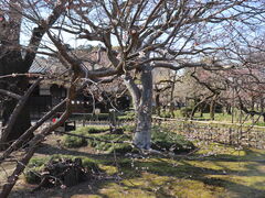 hyde����̍O���ٌ����ւ̓��e�ʐ^1