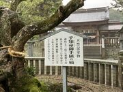 harusȗR__Ђ̓eʐ^2