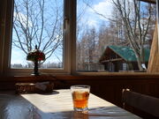 yosshỹ[hnEX lXg̓eʐ^3