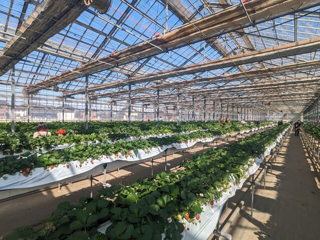 �2_��o�_��