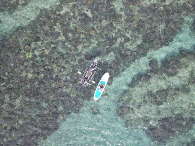 �h���[���̉f��_THE BEACH CLUB