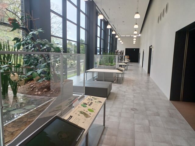 ���₷���ĕ�����₷�� �W�����e_�\���ӂ邳�ƃ~���[�W�A��