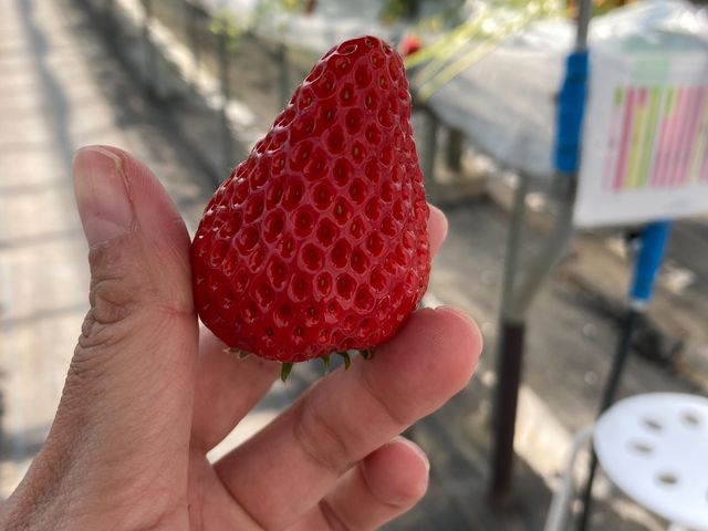 �傫���̂��������̂��Â��ł�_������