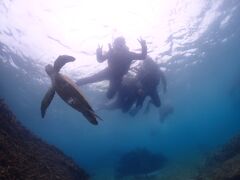 gC nico {Óւ̓eʐ^1