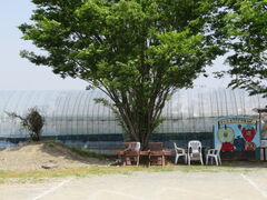 �L������̔_�Y���������L�삭�����̑��ւ̓��e�ʐ^1