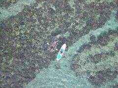 sayonekoTHE BEACH CLUBւ̓eʐ^1