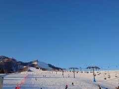 �����񂳂�̊⌴�ւ̓��e�ʐ^1