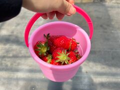 Syuutyoû͂Ȃt@[ւ̓eʐ^1