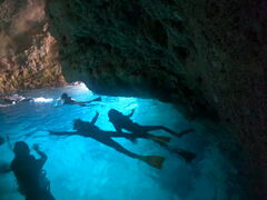 takã}T[rXނʁ[ւ̓eʐ^1