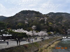 �r���R�E����̓n�����ւ̓��e�ʐ^1