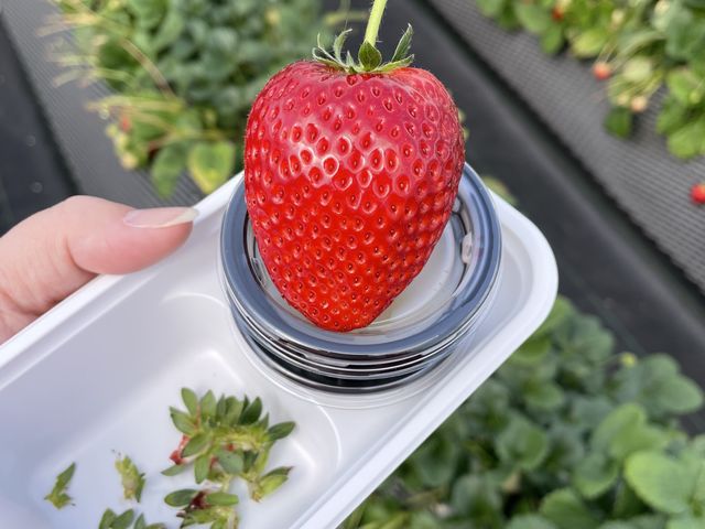 �Ƃ��������ł�_�����X�g���x���[�p�[�N