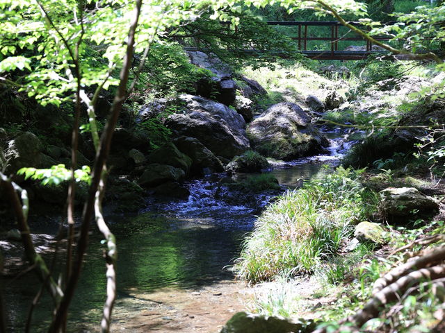 e҂GEMS GRILL̓eʐ^3