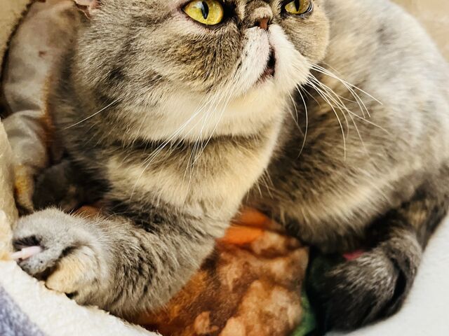 �ƂĂ����ƂȂ����������A�����ƂȂłȂł����Ă���܂����B_�L�J�t�F�@�j�����V�[