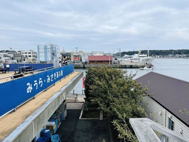 �e���X���猩���`�i�F_�����}���V�F�����Ȋ�