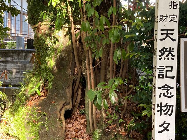 EbL[̉_Ђ̃^u̖؂̓eʐ^1