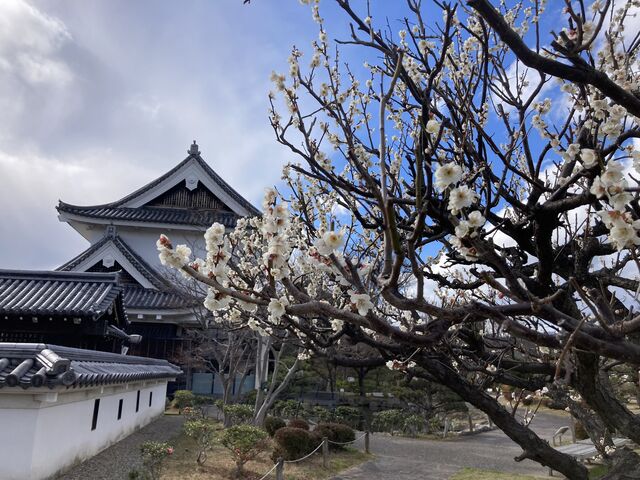 �~�̋G�߂ł����B_��������Ձi������������j