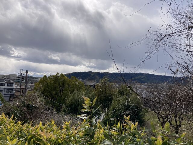 ���G���V�������ڂŔs�ꂽ�V���R���߂��Ɍ����܂��B_��������Ձi������������j